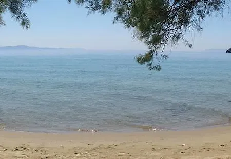 Elia شقة